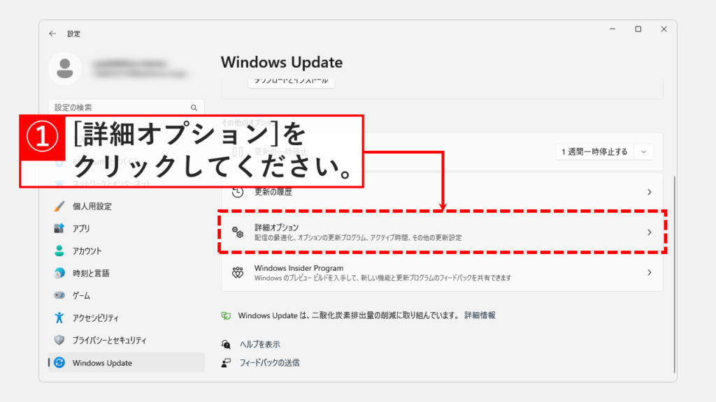 Windowsアップデートのオプションの更新プログラムからドライバーソフトウェアを更新する Step3 [詳細オプション]をクリック
