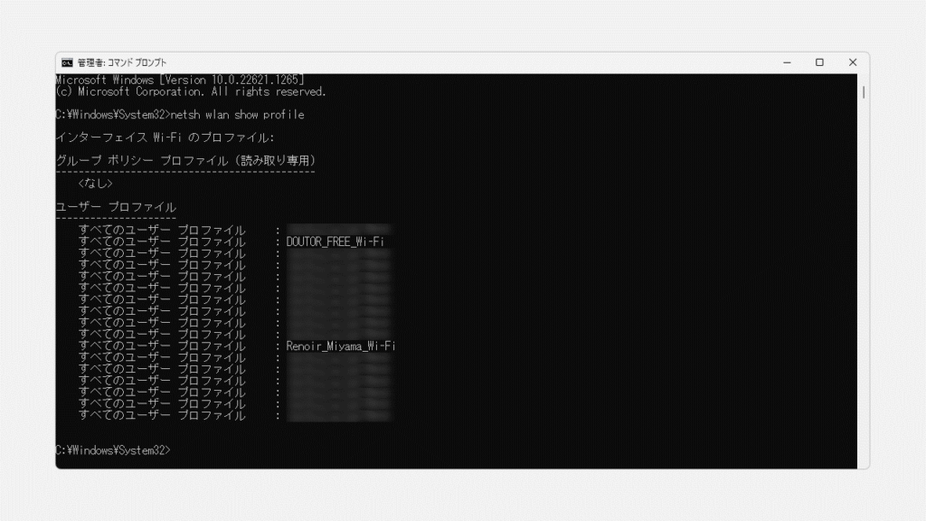 netsh wlan show profilesコマンドで保存されているWi-Fiプロファイル一覧を表示した画面