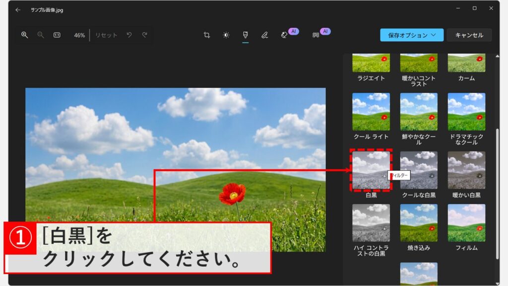 フォトアプリのフィルター一覧から白黒フィルターを選択する画面