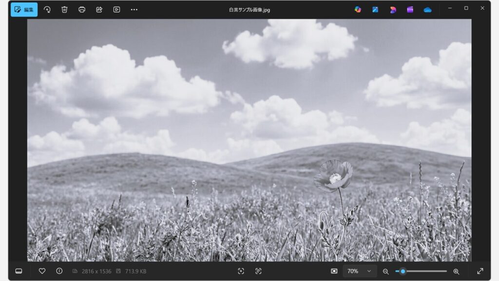 カラー画像が白黒モノクロに変換された比較画面