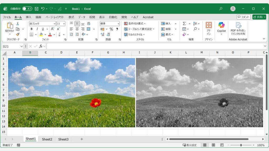 Excelシート内のカラー画像を白黒(グレースケール)に変更する前後の比較画面
