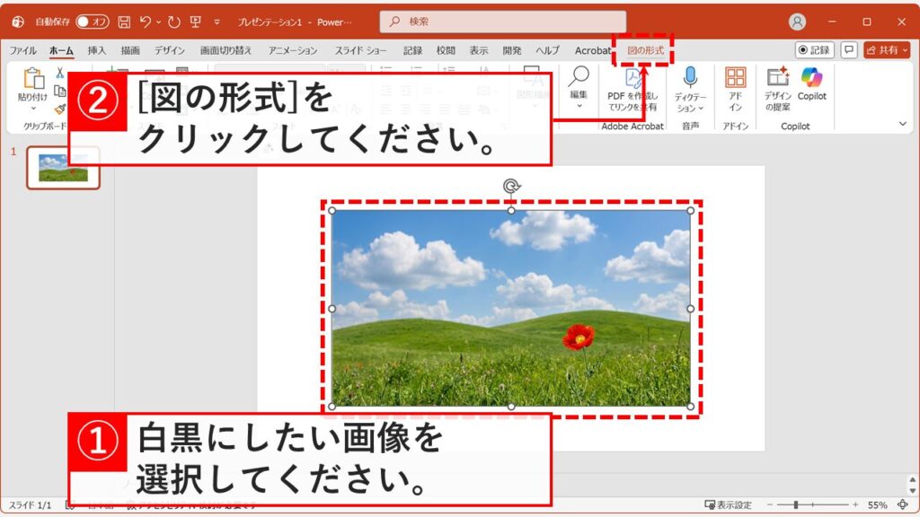 PowerPointのスライド内で画像を選択して図の形式タブを表示する操作画面