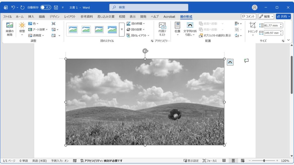 Word文書内の画像が白黒（グレースケール）に変換された状態