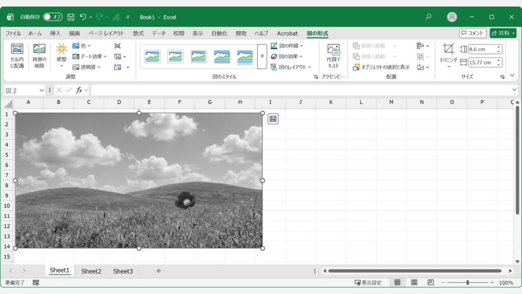 Excelシート内の画像がグレースケールで白黒表示されている画面