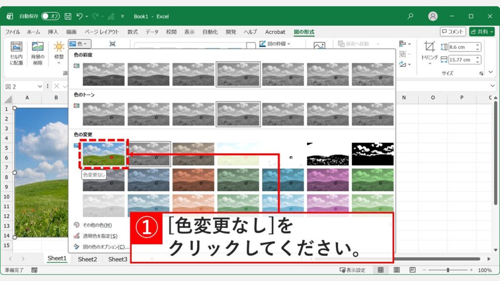 Excelの「色」メニューから「色の変更なし」を選択して白黒画像をカラーに戻している画面