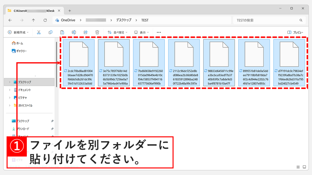 デスクトップに作ったTESTフォルダーに、Assetsフォルダーからコピーした7つのファイルを貼り付けたスクリーンショット