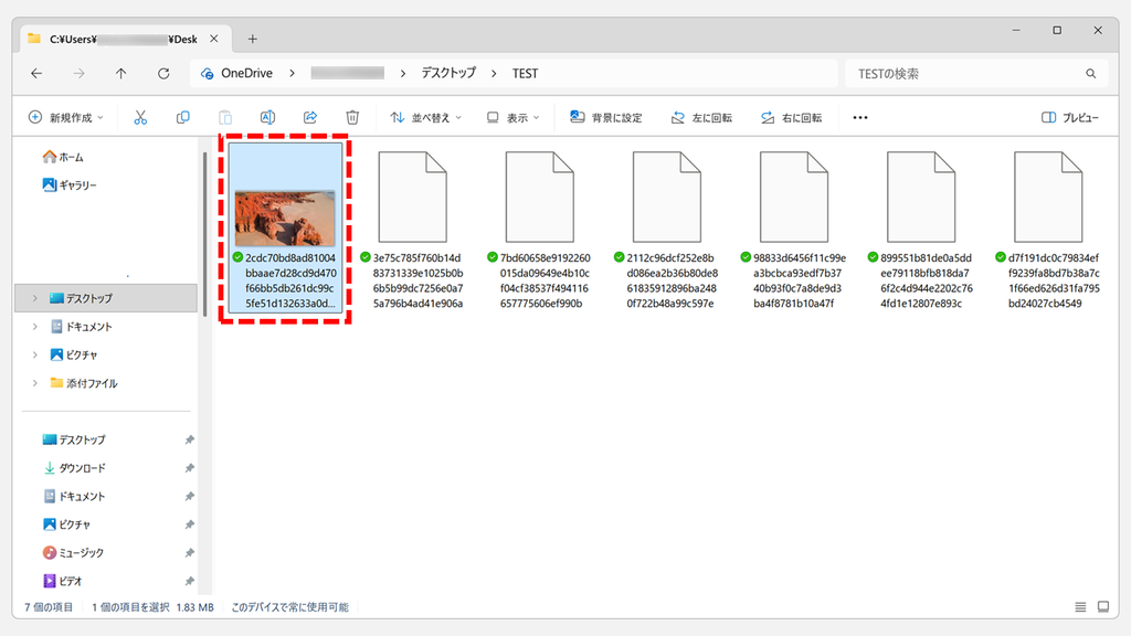 ファイル名の最後に.jpgを付けたファイルのアイコンが、赤い岩と砂浜のスポットライトの写真のサムネイルに変わったスクリーンショット
